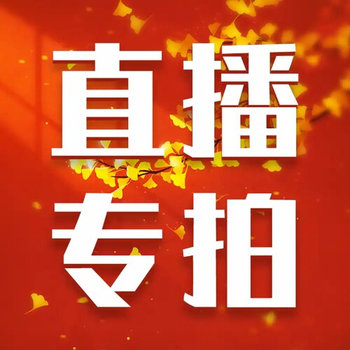 9月17日上新专拍