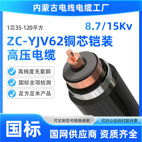 内蒙古ZC-YJV62-1*35-电缆