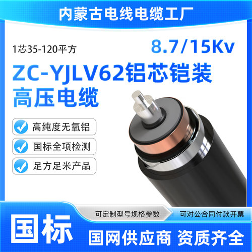 内蒙古YJLV62 1*35-120平方8.7/15KV国标铝芯1芯高压10KV铠装电缆
