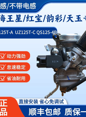 适用豪爵海王星UA125T韵彩QS125T-4B红宝天玉UZ/UM125T瑞梦化油器
