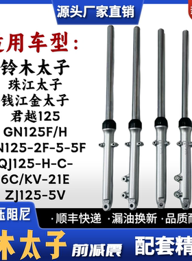 适用豪爵铃木太子GN125HF-2F-5-5F ZJ125-5V QJ125-HC-6-21前减震