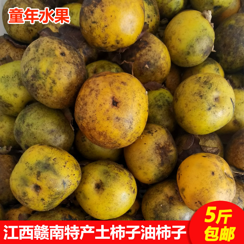秋后新鲜油柿籽柿坨核现摘现发野生土柿子赣南油柿子水果野果柿子