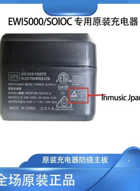 雅佳电吹管充电器原装充电器雅佳5000/solo原装电池适配器正品