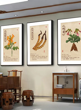 中药房装饰画中药材功效作用海报定制党参当归灵芝挂图中医宣传画
