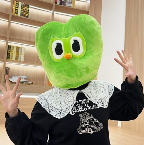 跨境Duolingo多邻国绿色猫头鹰头套毛绒玩抱枕公仔玩偶孩子礼物