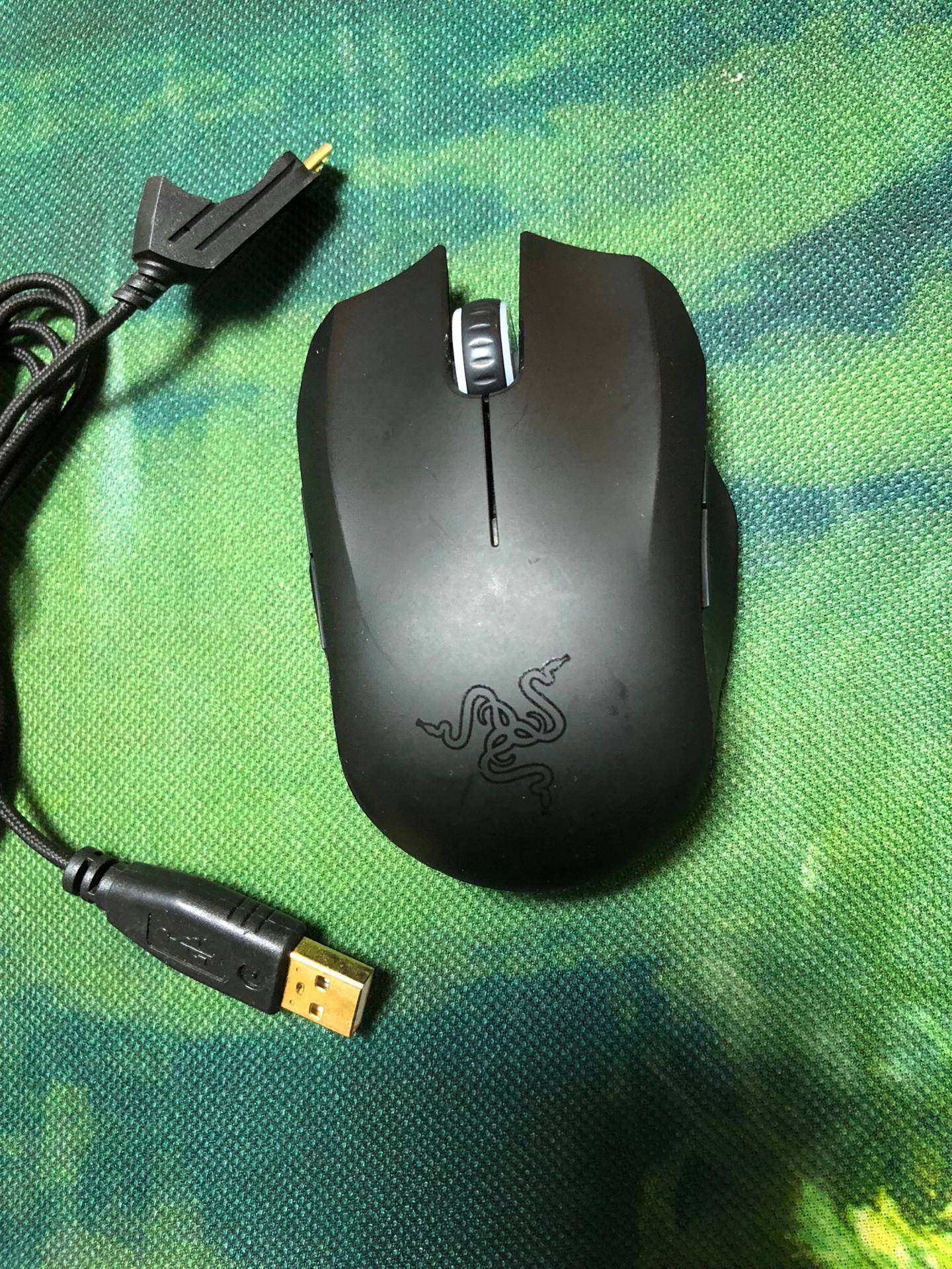 网友分享在meiguo.com的图片