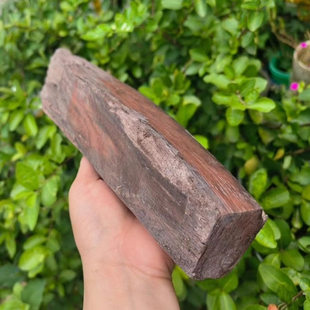 老挝大红酸枝原木料 交趾黄檀树杈弹弓料 红木随形雕刻木雕练手料