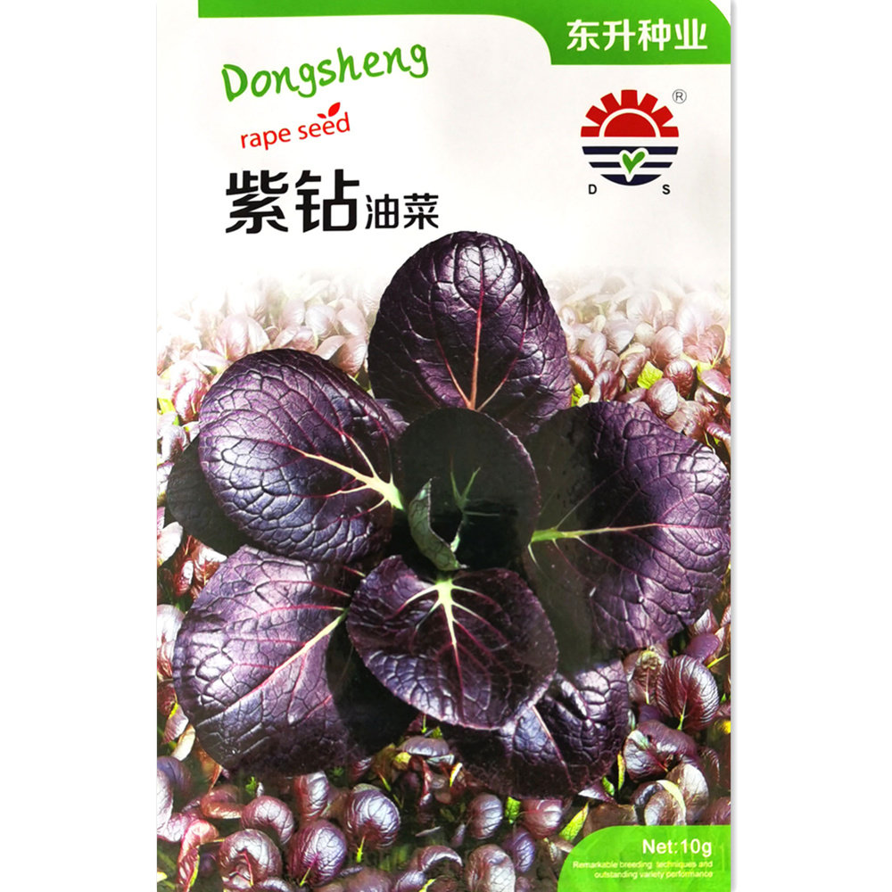 东升紫钻小油菜种籽秋冬四季鸡毛菜籽种青菜种子阳台盆栽蔬菜种孑