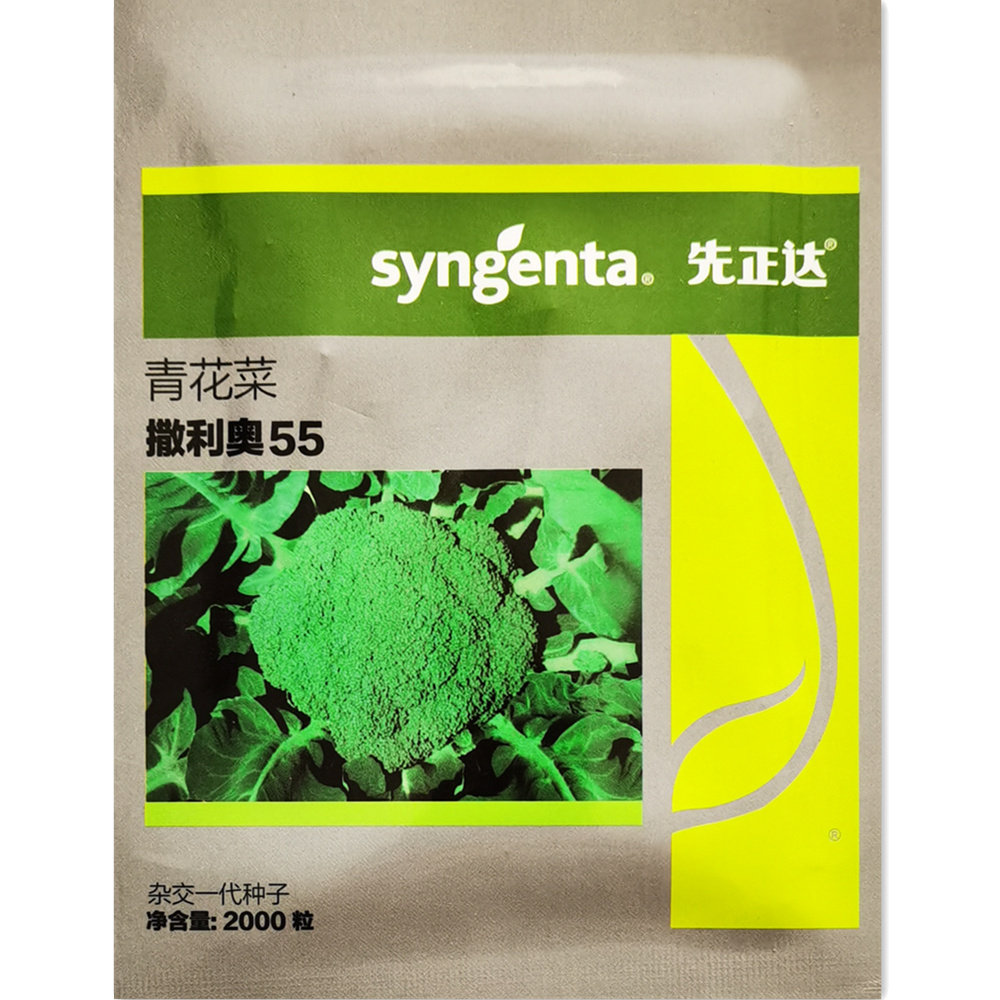 寿光蔬菜种子先正达西兰花曼蔓陀绿撒利奥55春秋中早熟苗籽四季青