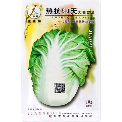 胶蔬热抗50天白菜种孑