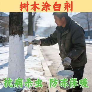 冬季刷树石灰刷白大树干绿化园林涂白涂剂果防虫树防寒防冻涂白粉