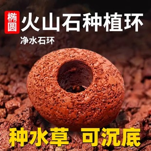 水草沉底盆鱼缸椭圆火山石固定底座种植环定植打孔可沉底环定植环