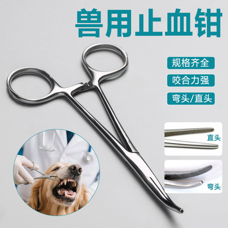 止血钳宠物牙结石清理钳子洁牙器