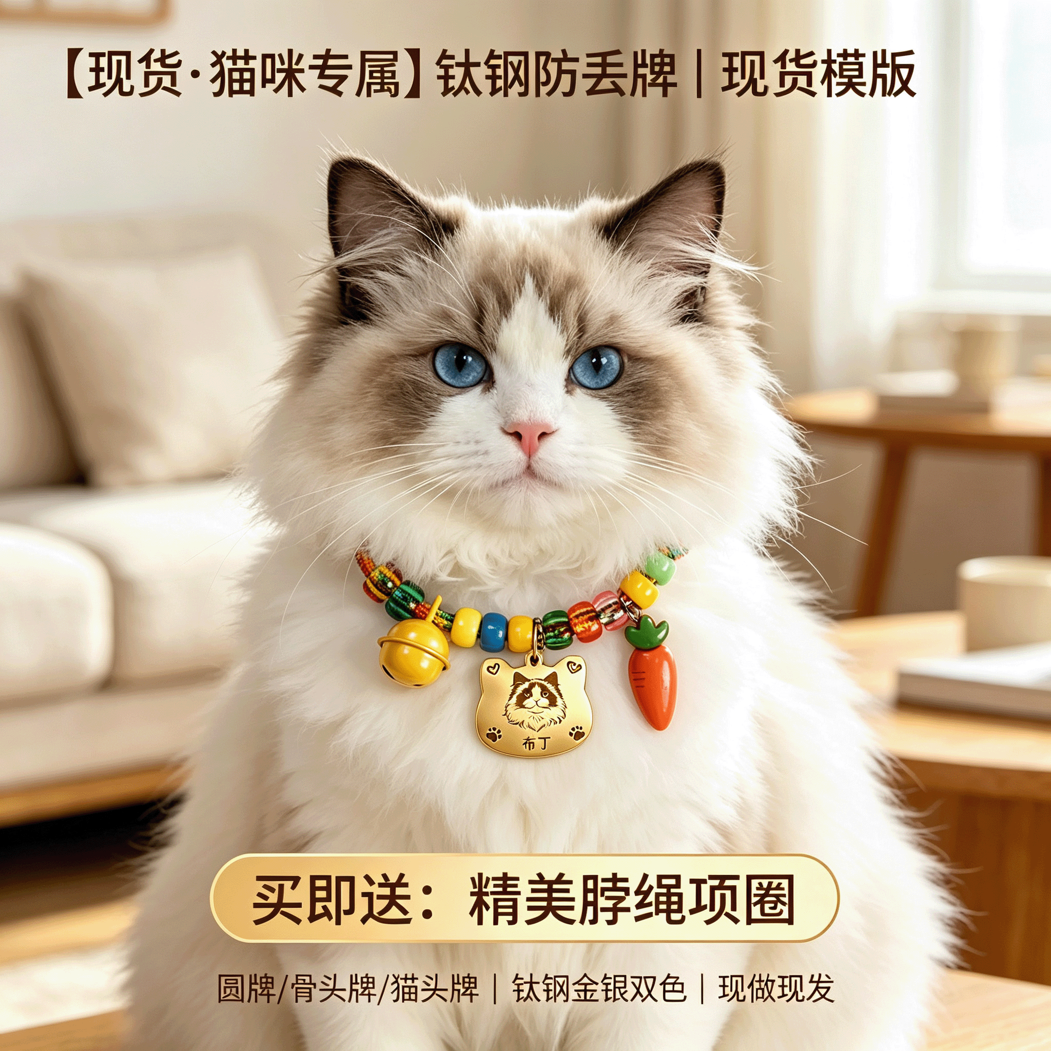 猫咪钛钢防丢身份牌买即送项圈