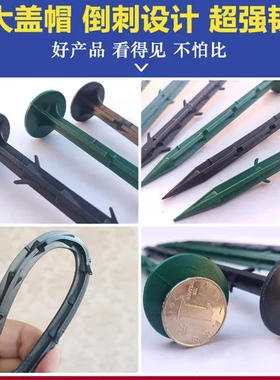 地钉园艺地膜塑料黑色地布钉钉大棚果园除草布防草布