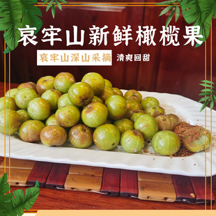 野生橄榄云南滇橄榄泡酒新鲜生吃孕妇水果酸余甘果现摘牛甘果3斤