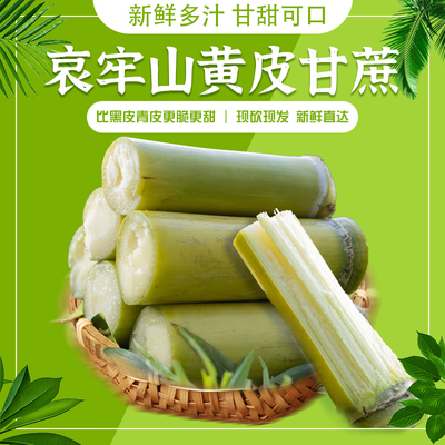 云南黄皮甘蔗当季农家现砍甜9斤
