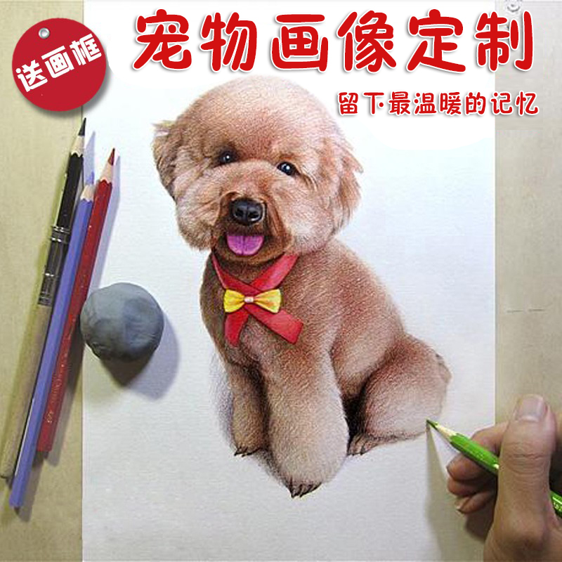 装饰画定制宠物肖像画真人狗狗猫咪照片写生临摹手绘素描彩铅画像图片