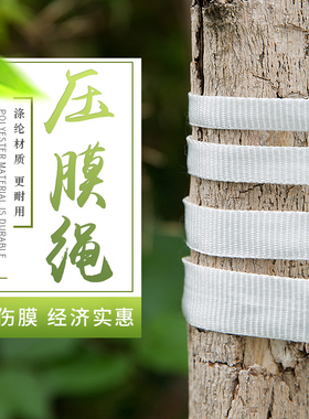 大棚抗风白色涤纶压膜线压膜带托膜线托膜带拉绳牵引绳背包带