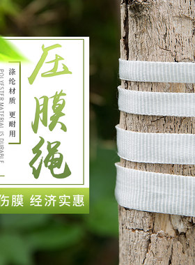 大棚抗风白色涤纶压膜线压膜带托膜线托膜带拉绳牵引绳背包带