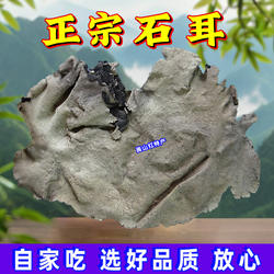 岩耳野生张家界石耳干货大片石菇100克岩菇炖土鸡6至12cm天然菌菇