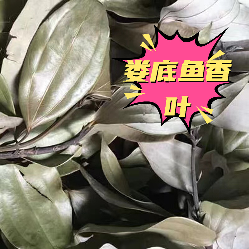 鱼香叶湖南特产农家天然调味除腥烧烤火锅香料