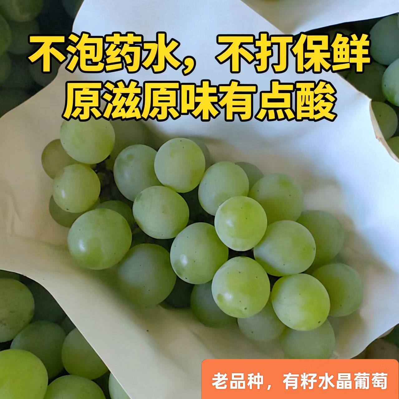【土葡萄】水晶葡萄新鲜水果当季现摘现发青香葡萄小孩孕妇都可以