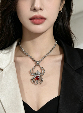 宥见归来 原创小众高级感蜘蛛不掉色项链 男女款日常百搭