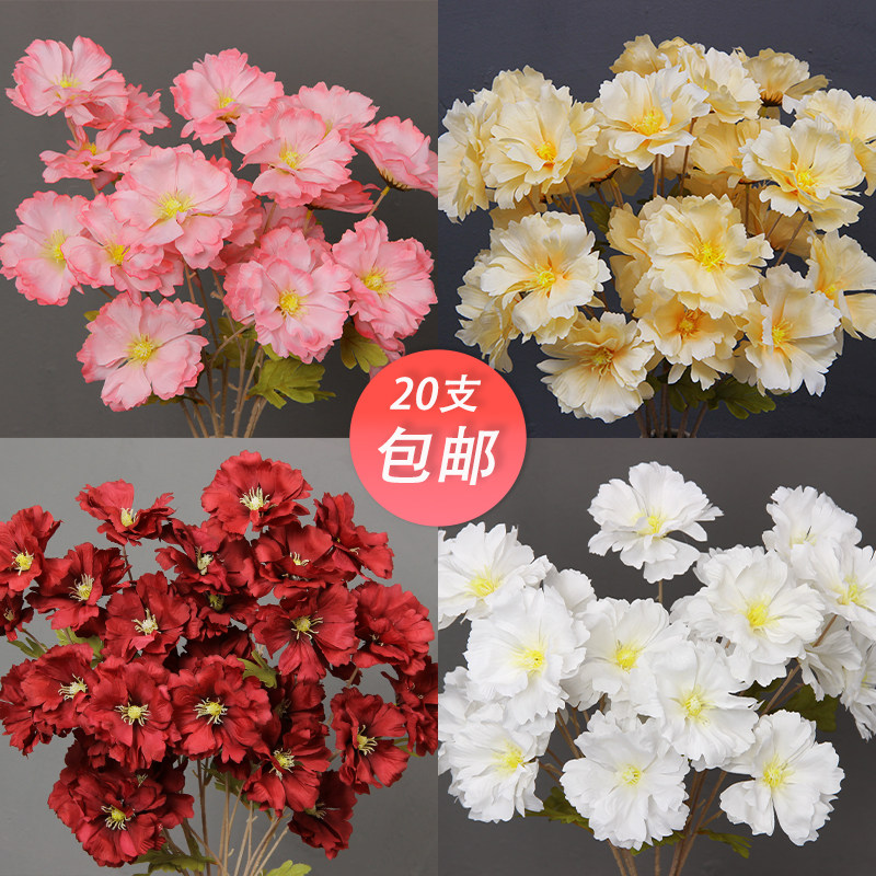 婚礼背景花艺装饰插花用材兰夕