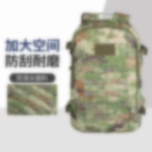 2019单人迷彩作训包E21V式军绿新款突击包大容量迷彩包防水包背囊