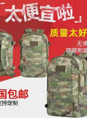 EXP21-S新式迷彩战术突击包作训包E19N新式战术双肩背包单背囊