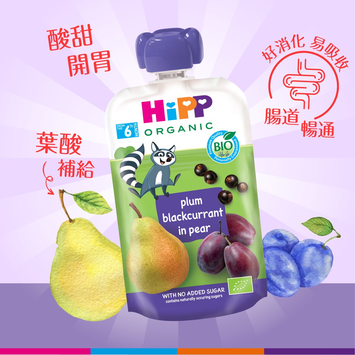 喜宝HiPP 有机布冧黑加仑子洋梨唧唧装100克6月+宝宝辅食果蓉果泥