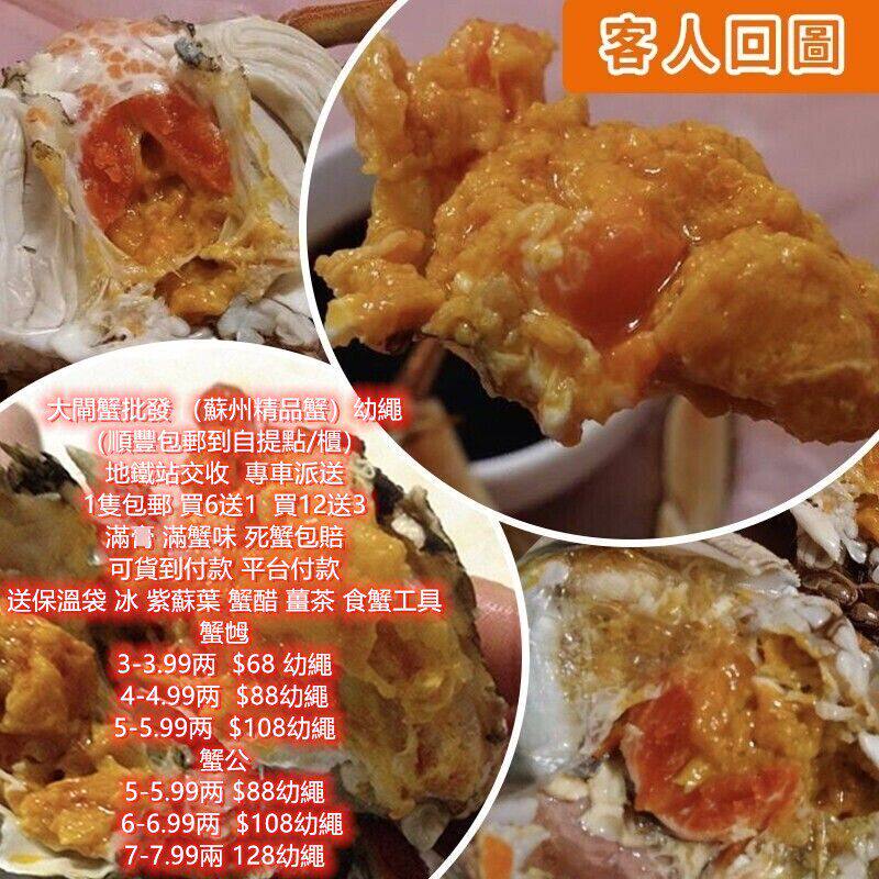 供香港品质大闸蟹母蟹鲜活螃蟹4.5-7港两港铁交收香港发货包活膏