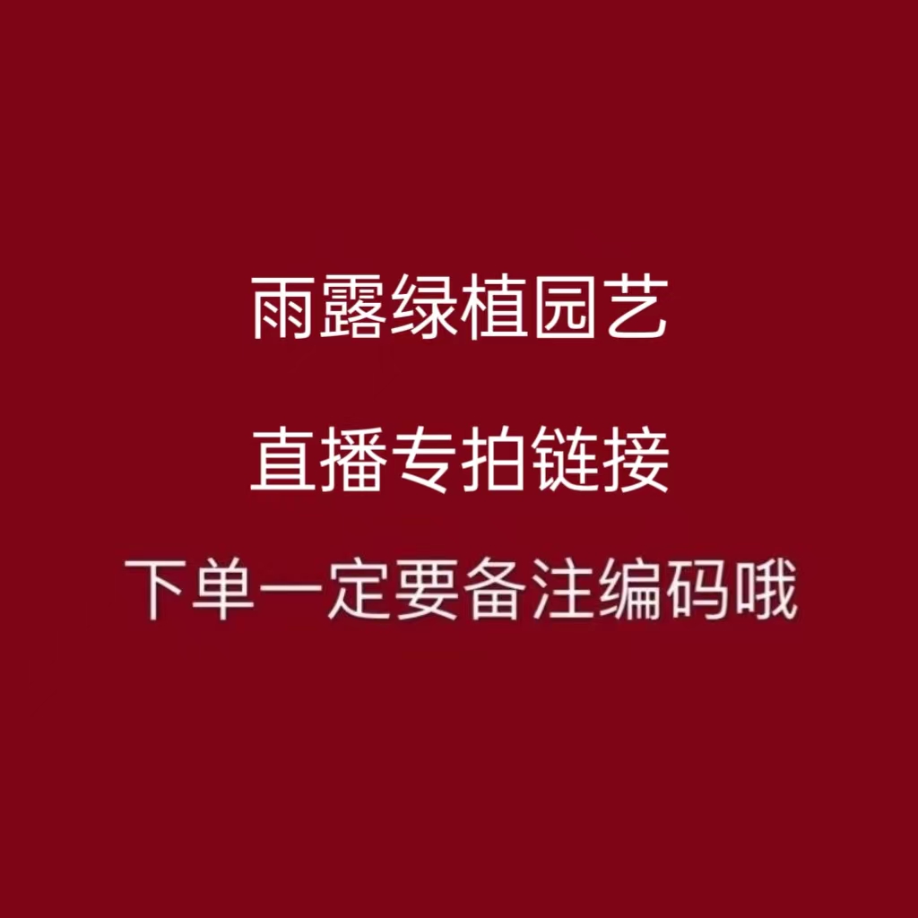 直播间专拍链接，下单备注编号