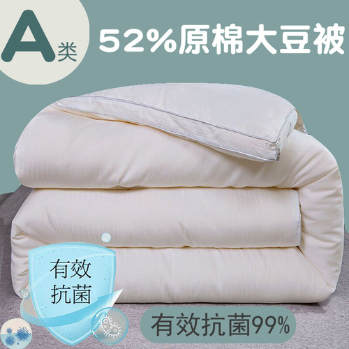 出口加厚大豆纤维冬被冬季保暖10斤九孔纤维被芯速暖超柔软厚被子 - 封面