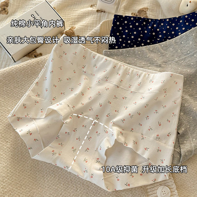女生纯棉高腰抗菌加长裆平角裤