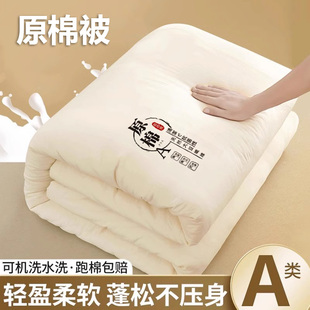 被子2025新款冬季秋冬被加厚保暖棉被被芯宿舍单人冬被褥四季通用