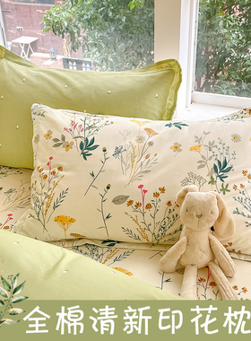 全棉枕头套一对装48x74cm加厚儿童枕套单个枕头芯内胆套成人家用