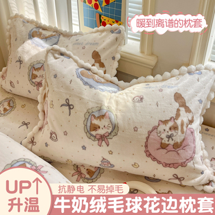 牛奶绒枕套一对装 48cmx74cm珊瑚绒枕头套单个枕芯内胆套2025新款