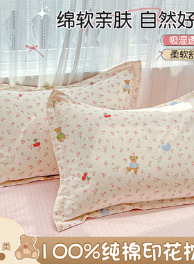 全棉枕头套一对装2025新款纯棉48cmx74cm枕套家用卡通枕芯内胆套