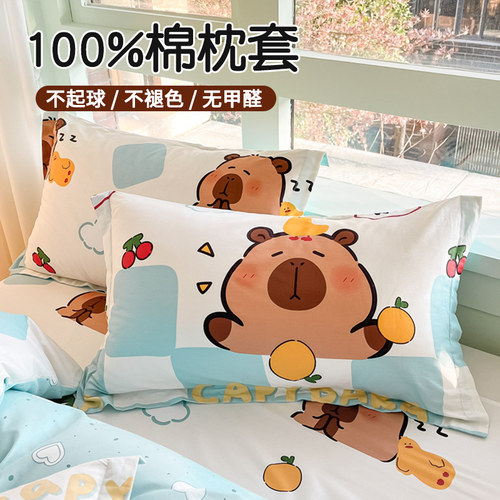 一对枕套纯棉加厚印花