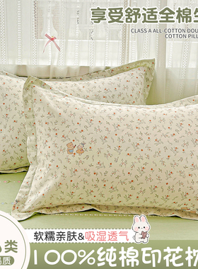 小清新全棉枕头套一对装2025新款纯棉48cmx74枕套家用枕芯内胆套