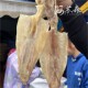正宗北海鱿鱼干淡晒鱿鱼干穿孔船晒手撕芥末烧烤专用大尤鱼6 9头