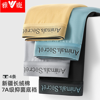 正品男士内裤纯棉透气男