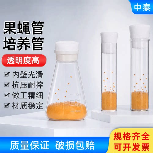透苯果蝇培养样品海绵四方