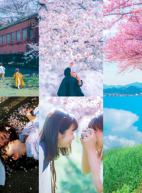 PR日系动漫色调柔和樱花PS手机Lightroom预设FCPX达芬奇LUT人像