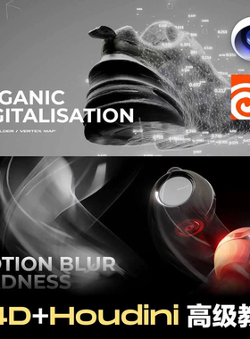【C4D+Houdini 高级教程】Romain Guillon会员频道