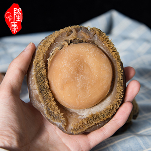 溏心鲍鱼干货500g2只 大干鲍鱼2只一斤 2头鲍鱼 南非双头鲍