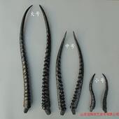 一对仿真羊角 发箍拍摄头羊角 黑色 婚纱摄影道具 仿真羚羊角