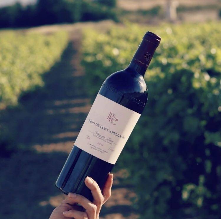 西班牙pc葡萄酒pagod loscapellanes金牧师红酒帕歌卡佩兰斯单支